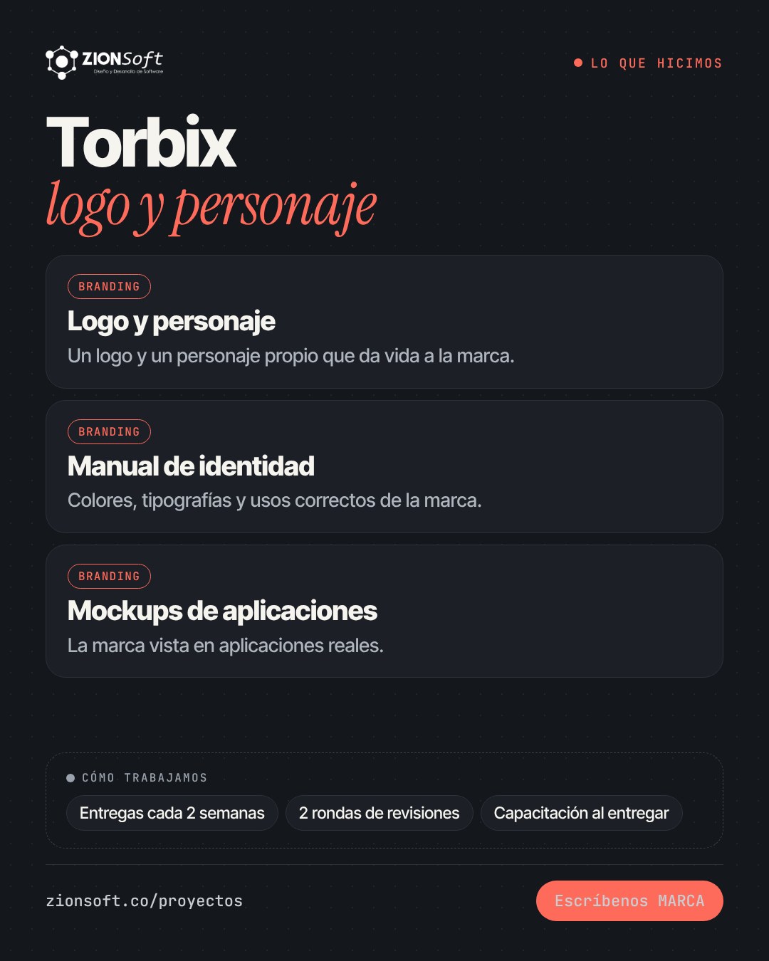 Lo que hicimos para Torbix